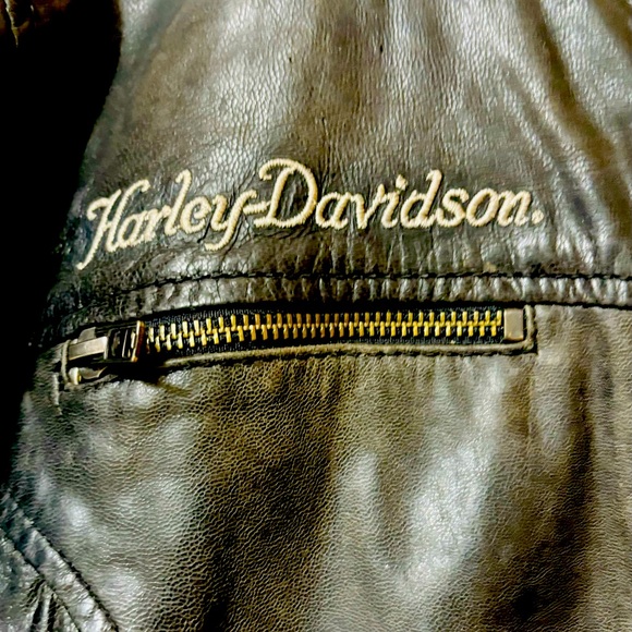 Woman’s Harley Davidson Distressed Leather Riding Jacket - Picture 3 of 10